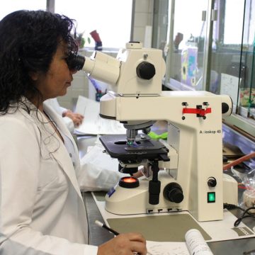 CREEX se suma a las reivindicaciones del Día Internacional de la Mujer y la Niña en la ciencia en su impulso continuo a la igualdad de oportunidades