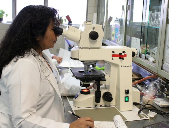 CREEX se suma a las reivindicaciones del Día Internacional de la Mujer y la Niña en la ciencia en su impulso continuo a la igualdad de oportunidades